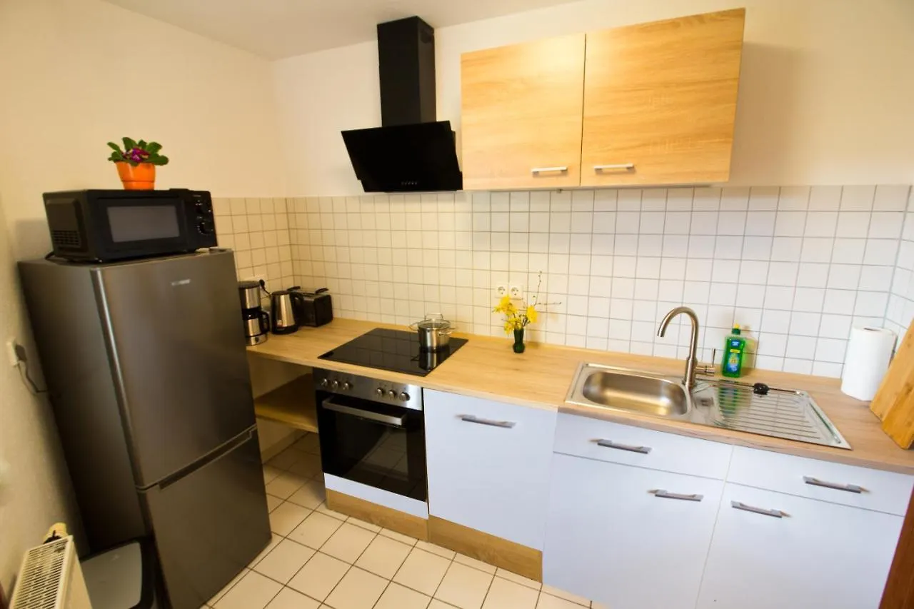 Ferienwohnung Tukan Apartment Dresden Laubegast Wlan Tv Ebike 德国